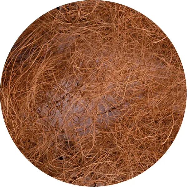 Perle Morbide kokos nestmateriaal exoten 10-15 cm