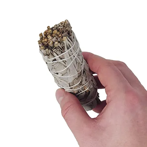 Seedzbox smudge sticks salie 3 stuks witte salie