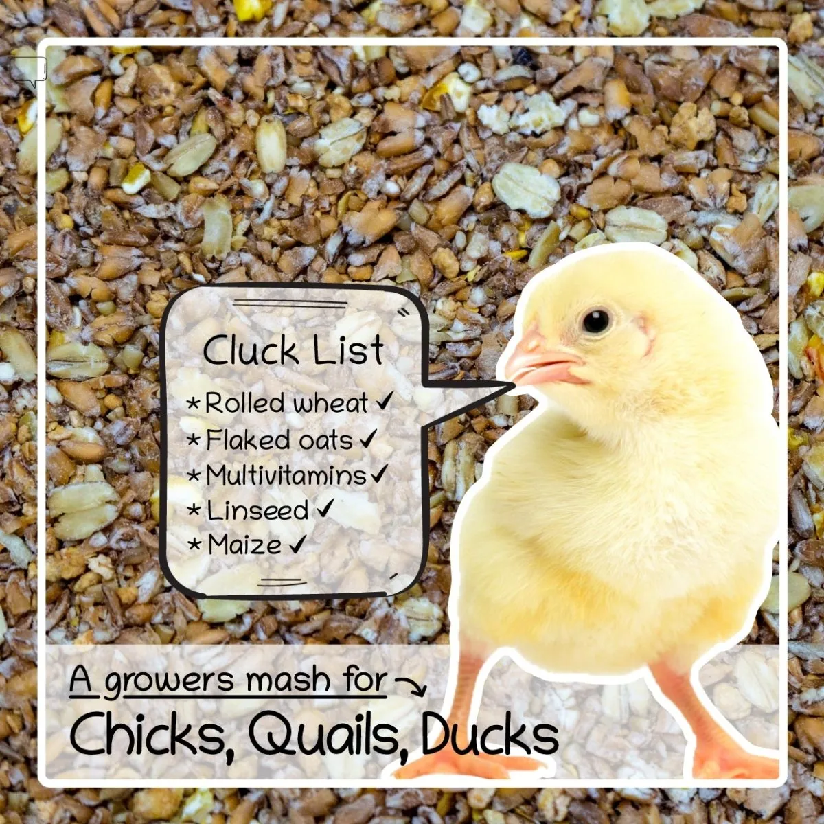Seedzbox Chick Crumb kuikenvoer 1,8kg multivitamine
