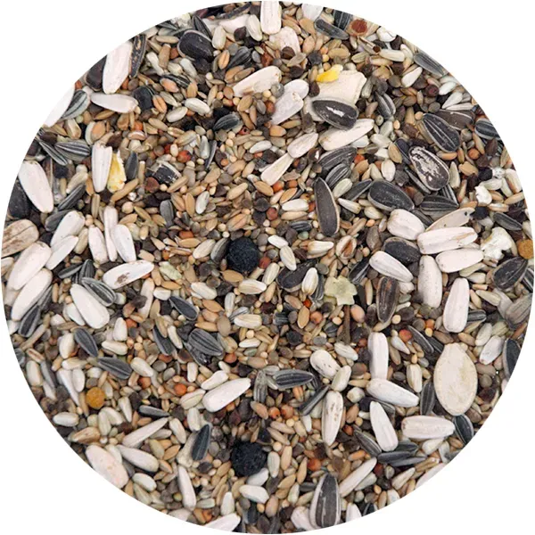 Perle Morbide Parrot Special papegaaienvoer zadenmix