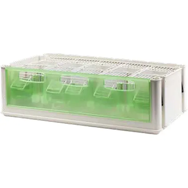 Perle Morbide Maxi Tino transportbox middelgrote vogels
