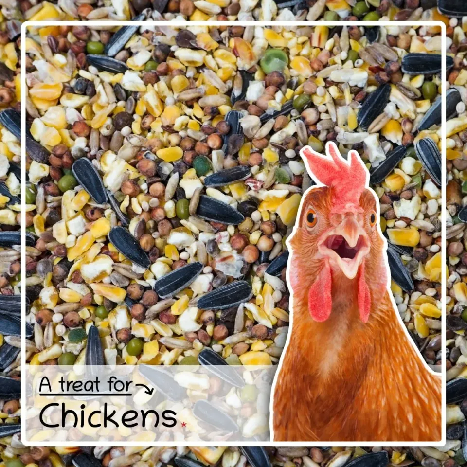 Seedzbox Poultry Treat kippenvoer 1,8kg met grit