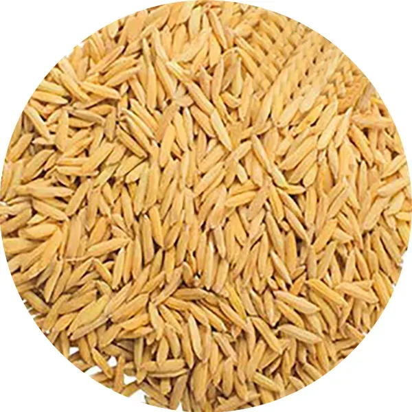 Perle Morbide Paddy Rice vogelvoer ongepelde rijst