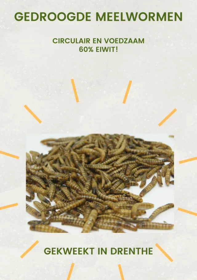 Samenwerken met de Natuur Gedroogde Meelwormen kippensnack 1 kg eiwitrijk