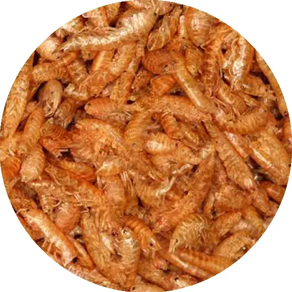 Perle Morbide Gammarus Legs vogelvoer eiwitrijk