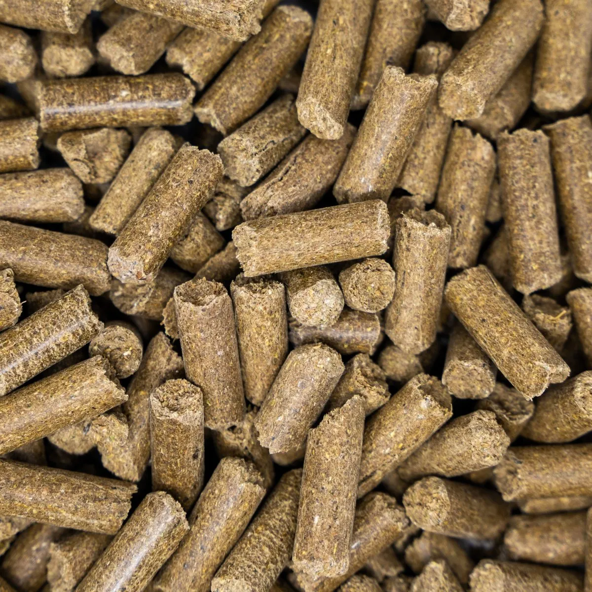 Seedzbox Horse Treats paardensnoep munt 1kg vezelrijk
