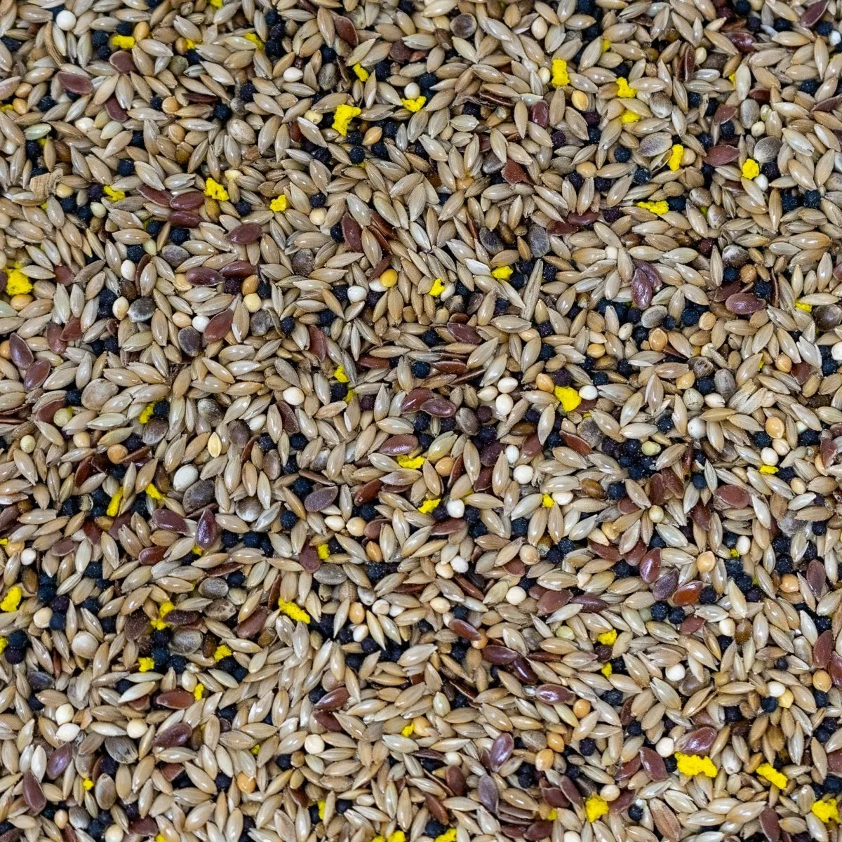 Seedzbox Ultimate Deluxe Canary kanarievoer 1 kg lijnzaad