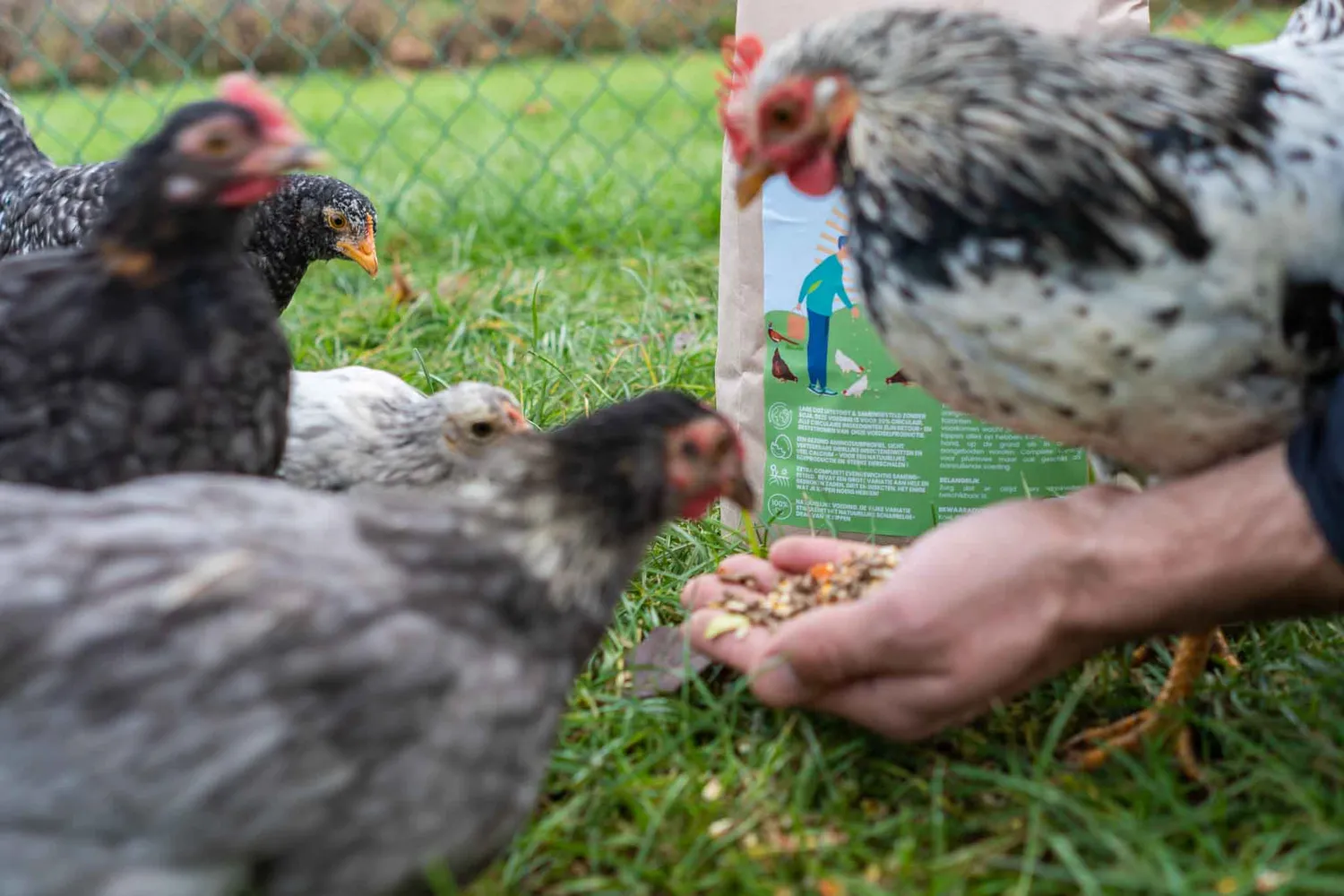 Samenwerken met de Natuur Premium Kippenmix kippenvoer 4 kg compleet