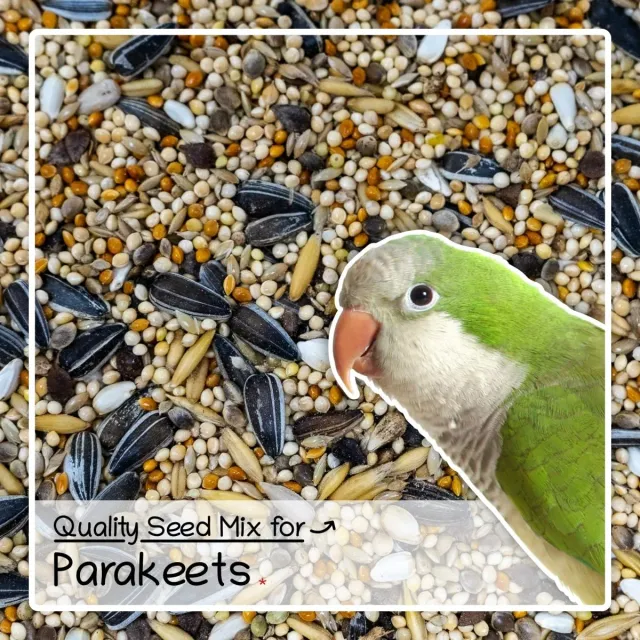Seedzbox Ultimate Deluxe Parakeet parkietenvoer 1 kg gierst