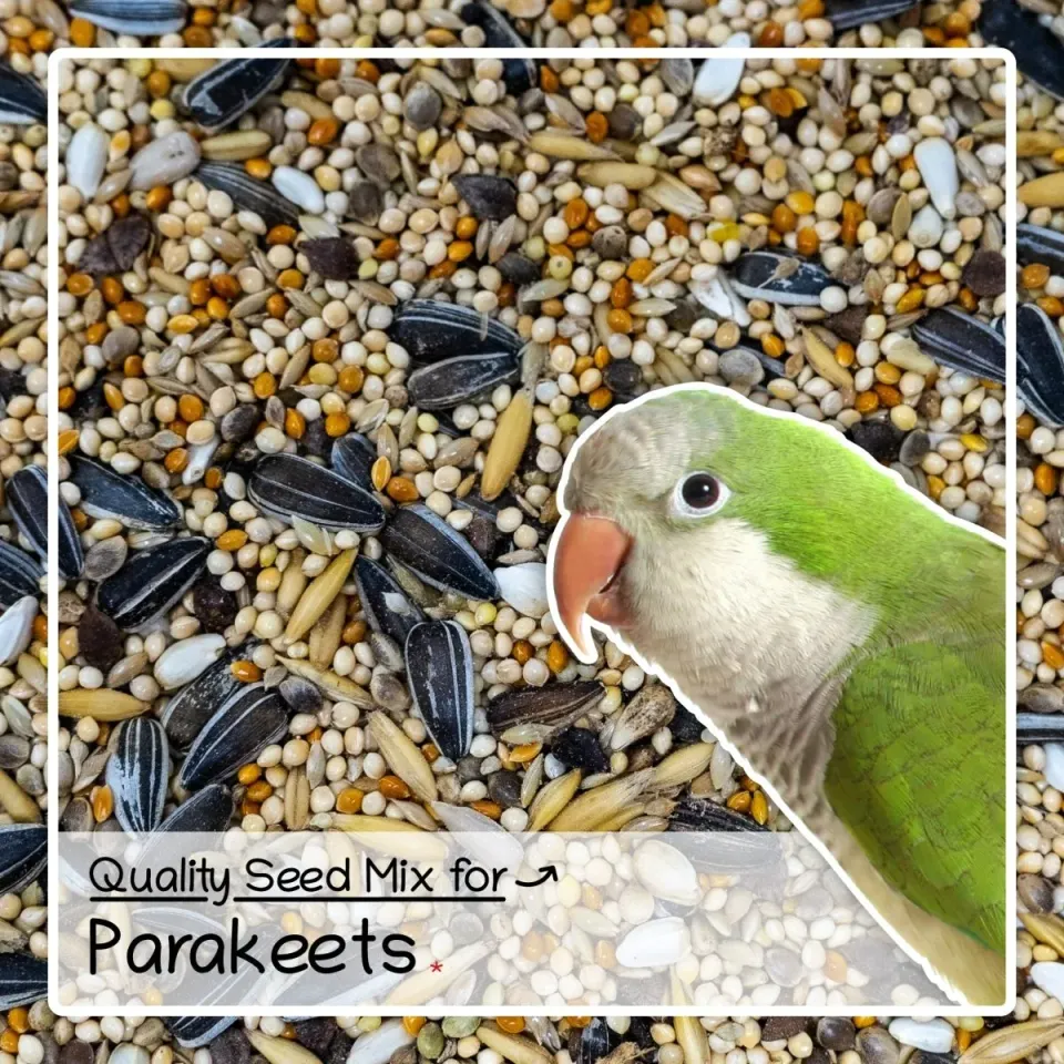 Seedzbox Ultimate Deluxe Parakeet parkietenvoer 1 kg gierst