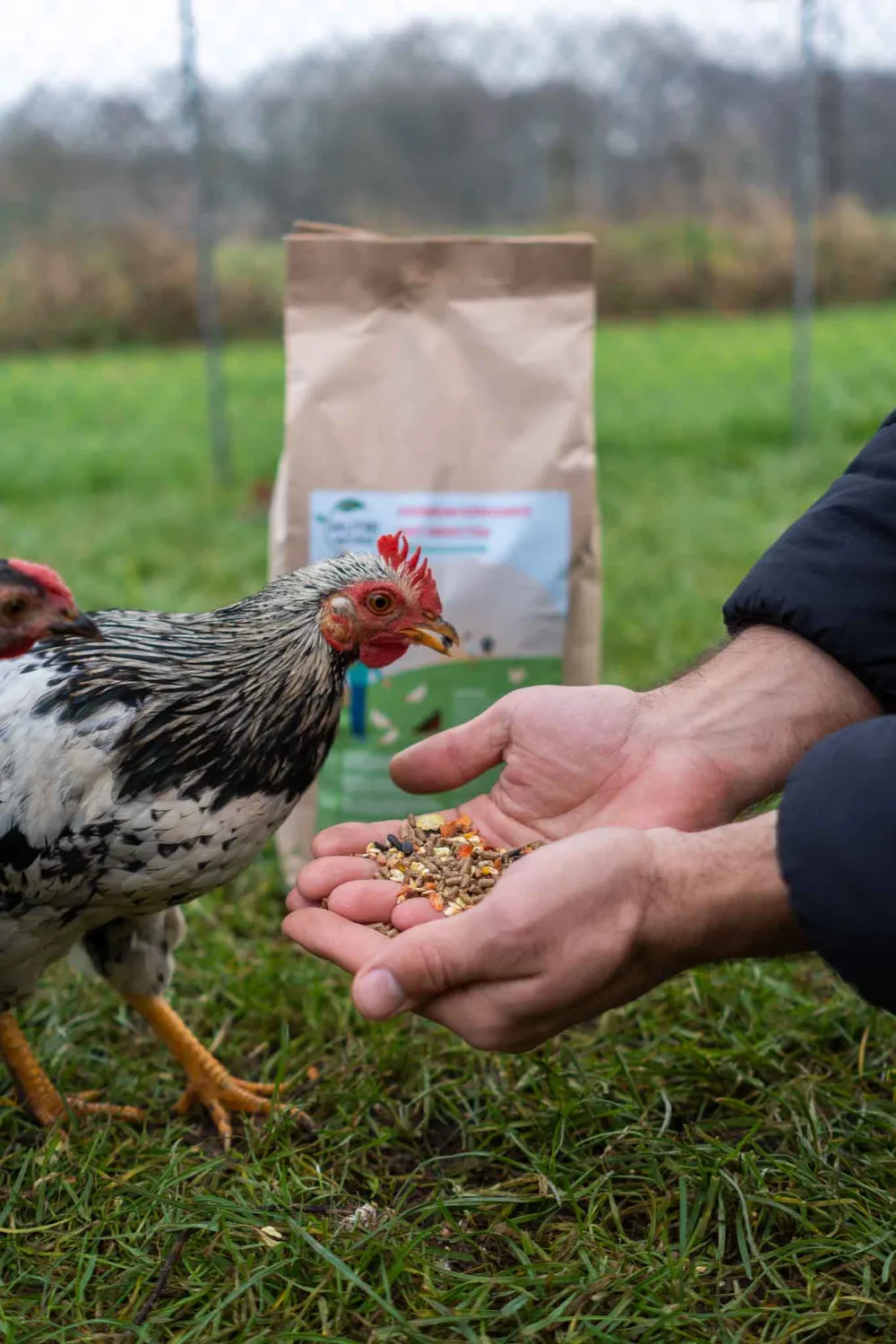 Samenwerken met de Natuur Premium Kippenmix kippenvoer 4 kg compleet