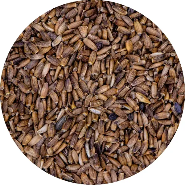 Perle Morbide mariadistelzaad vogelvoer