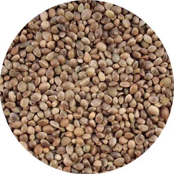 Perle Morbide Micronized Hemp hennepzaad vogels