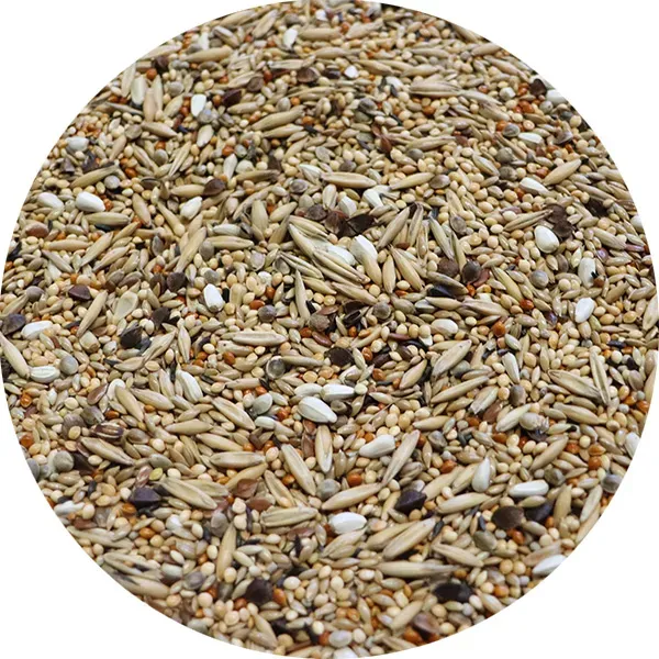 Perle Morbide Agapornis Mixture agapornidenvoer vers zaad