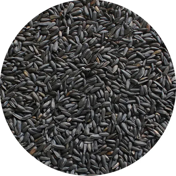 Perle Morbide Small Black Sunflower zaad parkieten