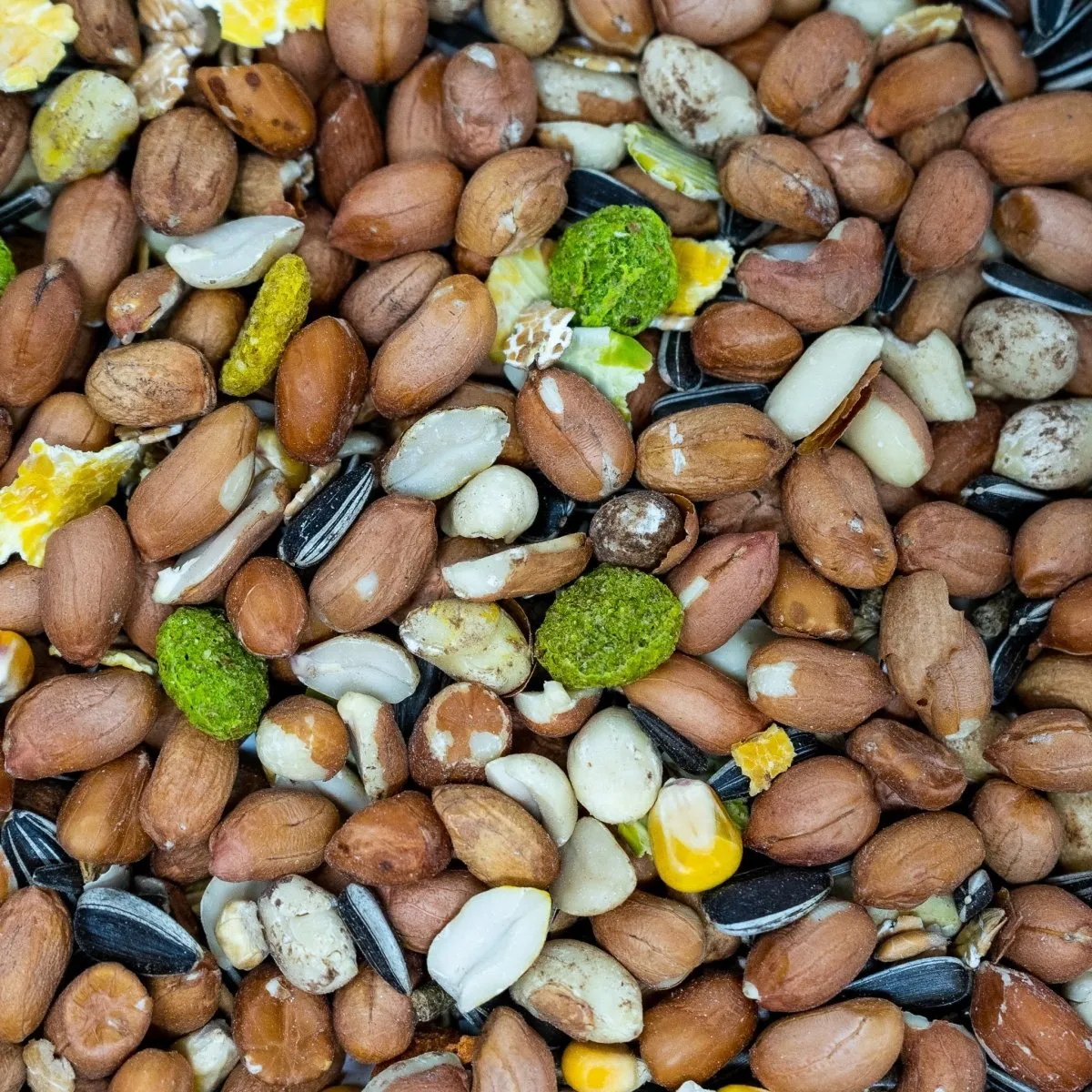 Seedzbox Ultimate Deluxe eekhoornvoer 900 g met pinda