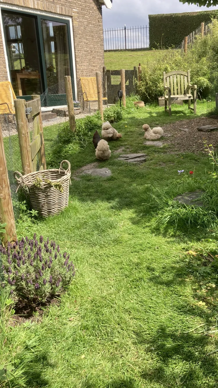 Samenwerken met de Natuur Premium Kippenmix kippenvoer 4 kg compleet