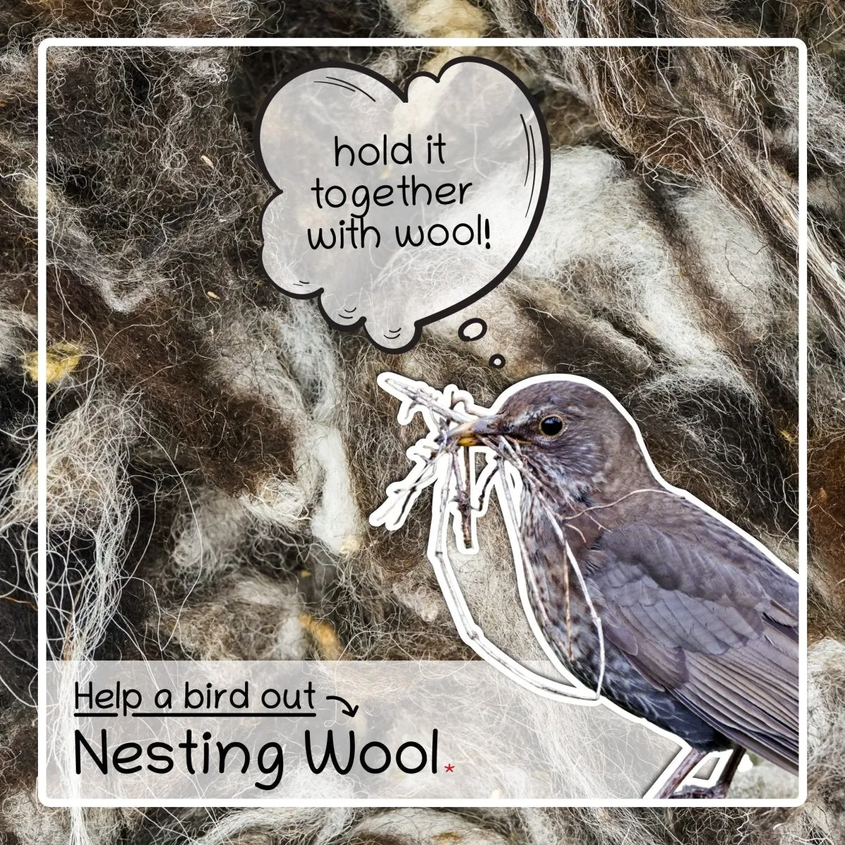 Seedzbox Nesting Wool nestmateriaal vogels Red Barn wol