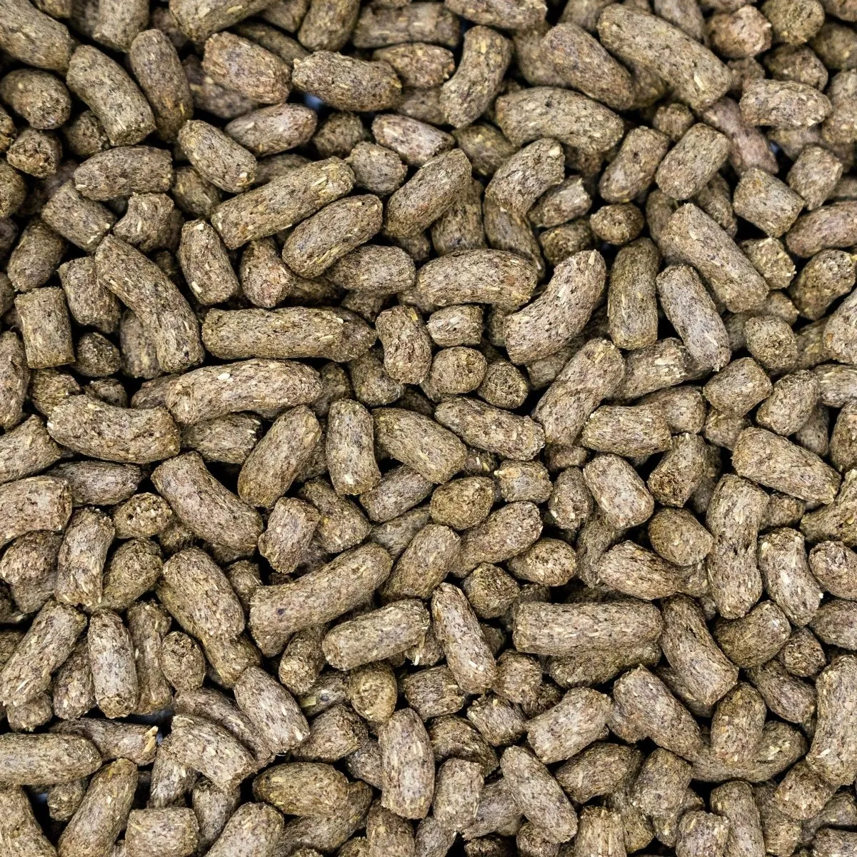 Seedzbox konijnenvoer luzerne nuggets 1,8 kg eiwitrijk