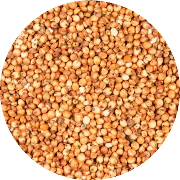 Perle Morbide Red Dari zaad voor vogels