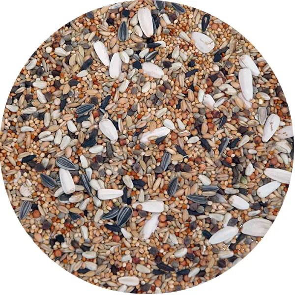 Perle Morbide parkietenvoer zonnebloempitten compleet