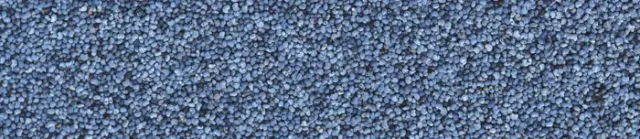 Manitoba Papavero Blu blauw maanzaad 1 kg voor vogels