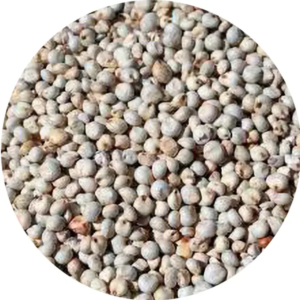 Perle Morbide White Dari vogelzaad enkelvoudig