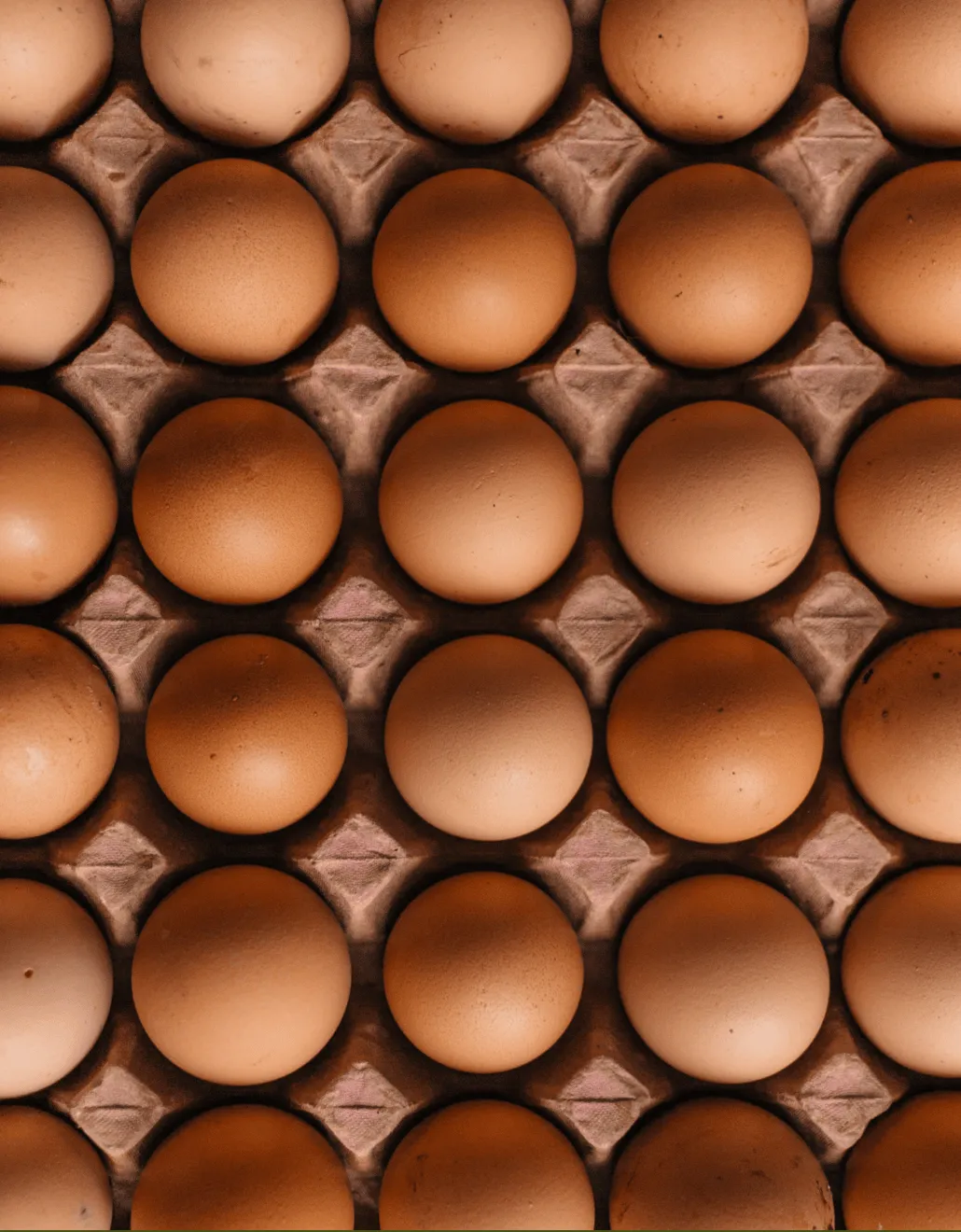 Samenwerken met de Natuur Circulaire Legkorrel kippenvoer 4 kg zonder soja