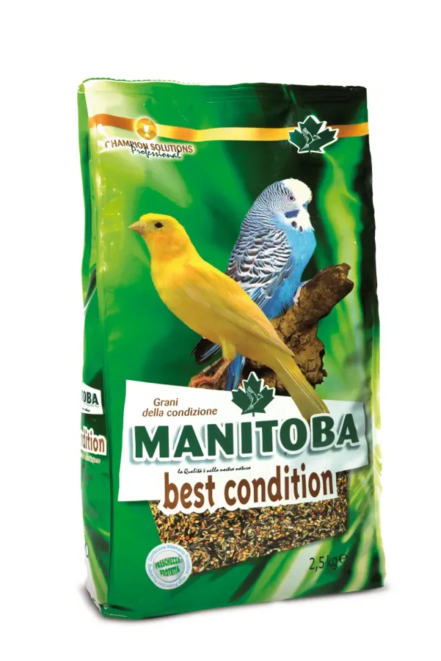 Manitoba Best Condition kanarievoer 2,5 kg met nigerzaad