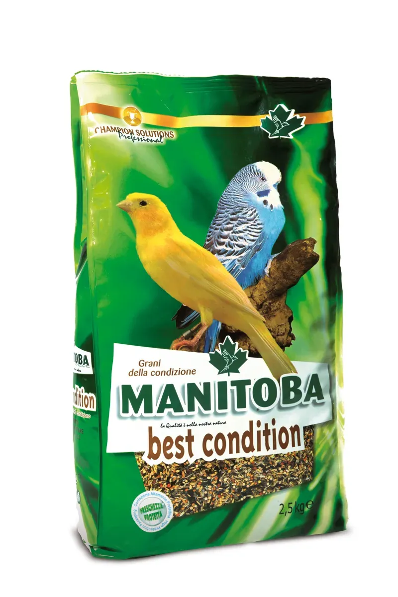 Manitoba Best Condition kanarievoer 2,5 kg met nigerzaad