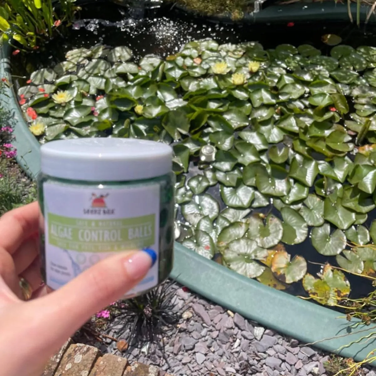 Seedzbox Pond Algae Remover vijverreiniger gel tegen algen