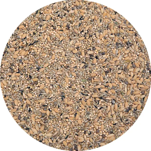 Perle Morbide Padda Mixture vogelvoer compleet