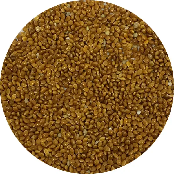 Perle Morbide Red Millet rode gierst zaad voor parkieten