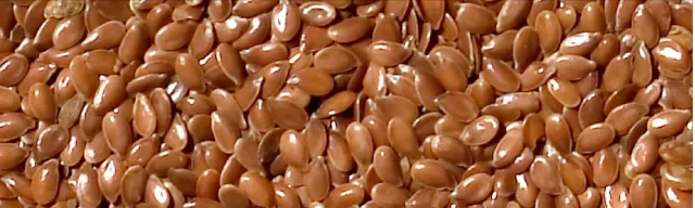Manitoba Lijnzaad Bruin enkel zaad 20 kg voor duiven