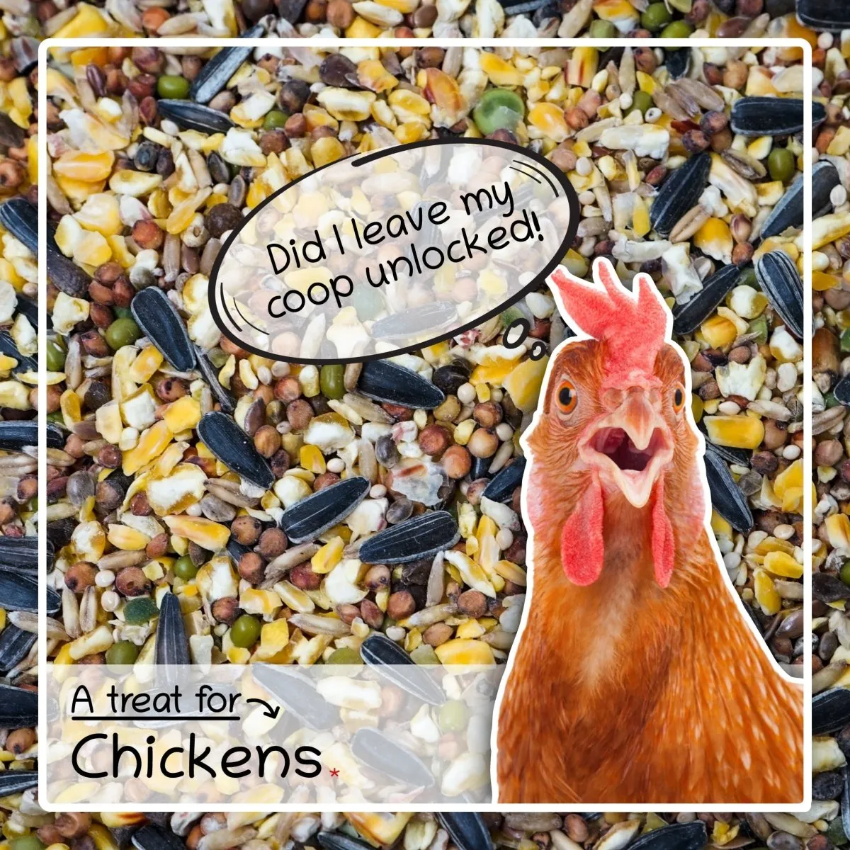 Seedzbox Poultry Treat kippenvoer 1,8kg met grit