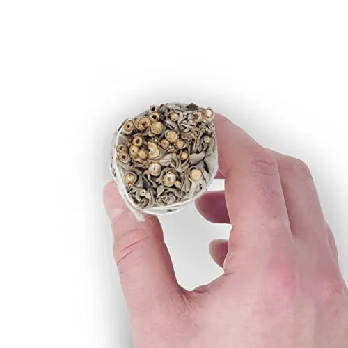Seedzbox White Sage smudge sticks 3 stuks 10 cm