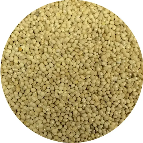 Perle Morbide Italian White Millet gierstzaad wit