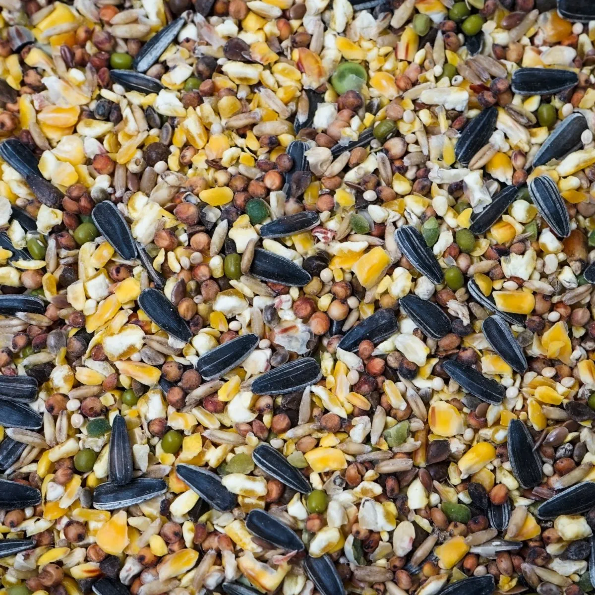 Seedzbox Poultry Treat kippenvoer 1,8kg met grit