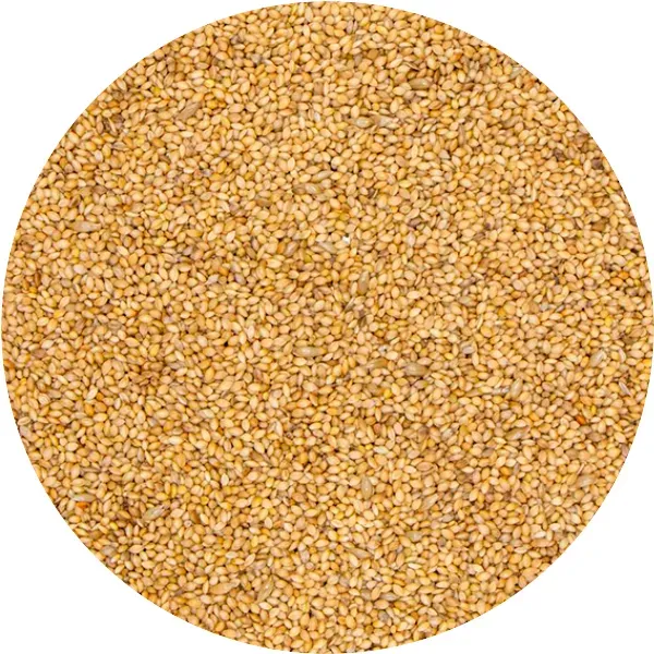 Perle Morbide Panic Seeds paniekzaad zaad voor parkieten
