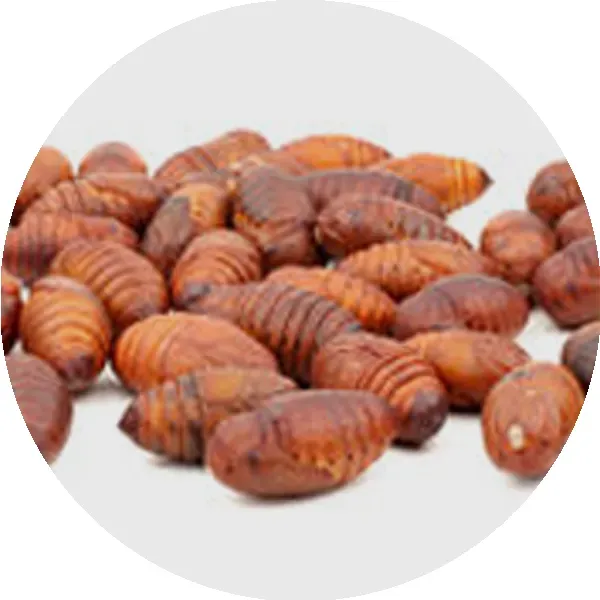 Perle Morbide Silk Worms Flour insectenmeel 52% eiwit