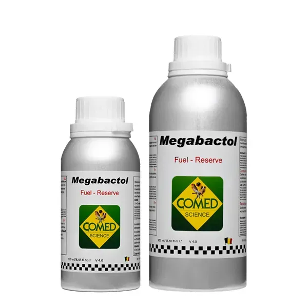 Perle Morbide Megabactol olie vogelvoer kweek omega 3-6-9