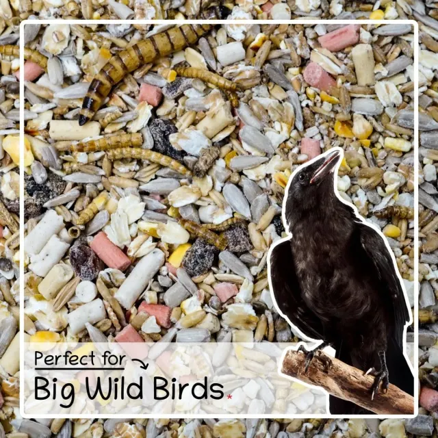 Seedzbox vogelvoer meelwormen vetpellets 1,8kg eiwitrijk