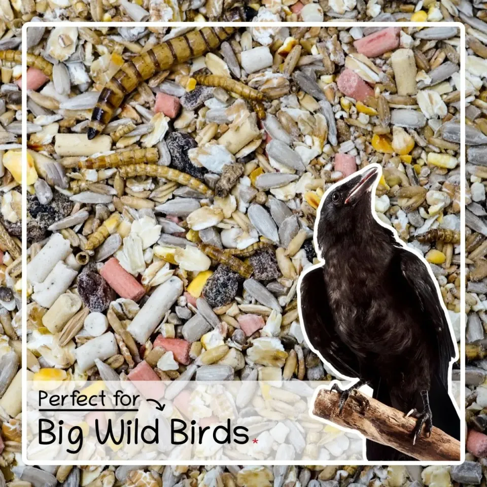 Seedzbox vogelvoer meelwormen vetpellets 1,8kg eiwitrijk