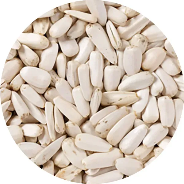 Perle Morbide zonnebloempitten wit medium per kilo