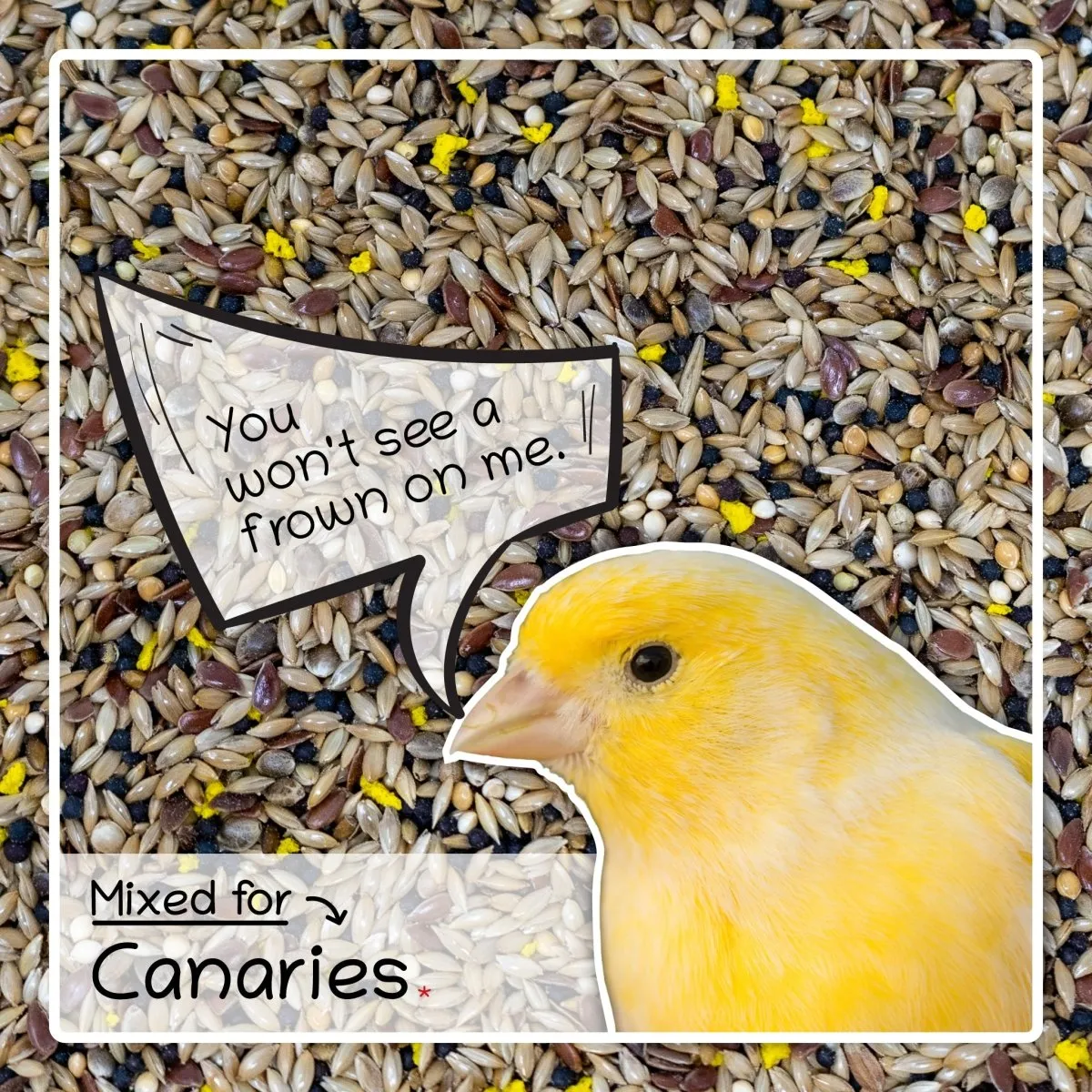 Seedzbox Ultimate Deluxe Canary kanarievoer 1 kg lijnzaad