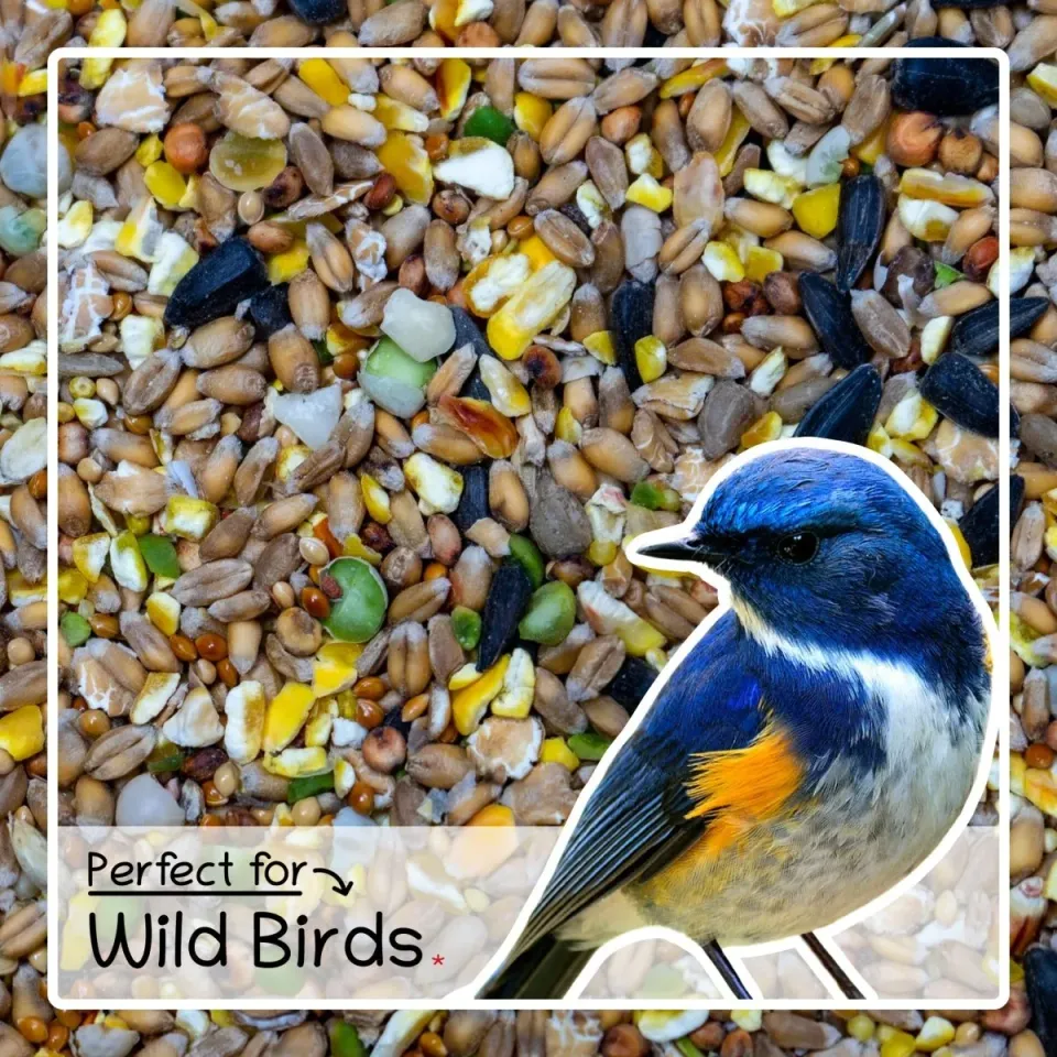 Seedzbox Ultimate Deluxe wild vogelvoer 1,8 kg eiwitrijk