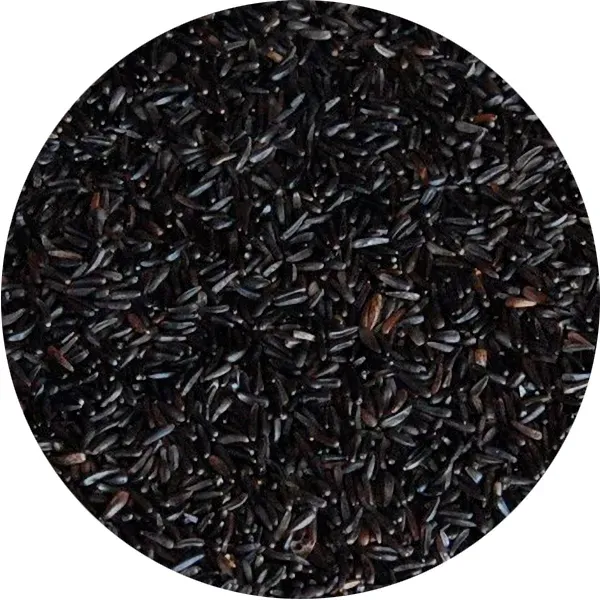 Perle Morbide Germinable Niger kiembaar nigerzaad