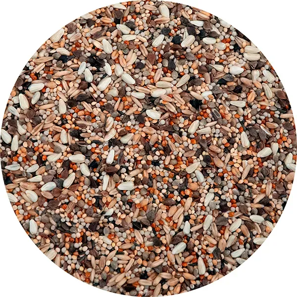Perle Morbide Taranta Special agapornidenvoer zaden