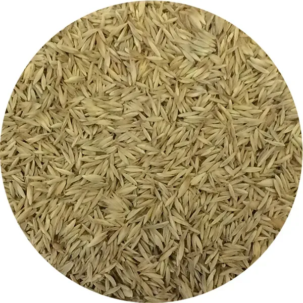 Perle Morbide Certified Machine nestgras voor vogels natuurlijk