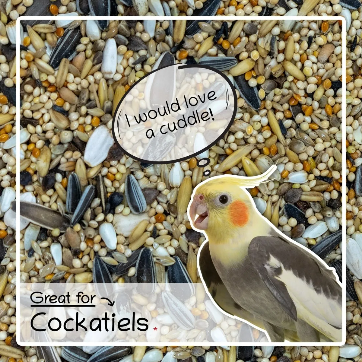 Seedzbox Ultimate Deluxe valkparkiet vogelvoer 1kg eiwitrijk